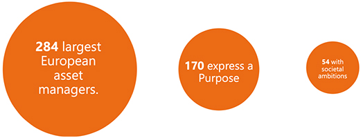 Societal expression of purpose