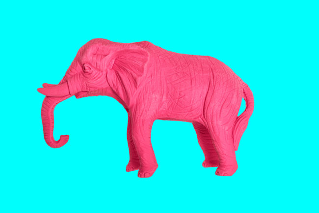 elephant-rose-h-ideas Ne pensez pas à un éléphant rose.